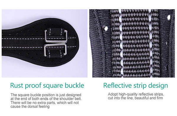  Exquisite Posture Corrector